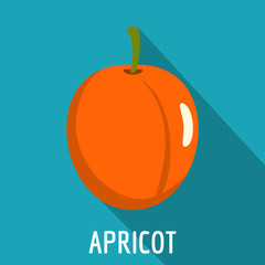 Apricot icon. Flat illustration of apricot vector icon for web