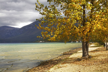 Beach in Pogradec. Albania