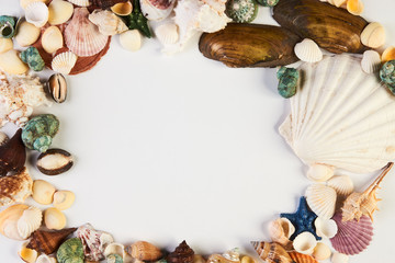 Obraz na płótnie Canvas Sea shell frame