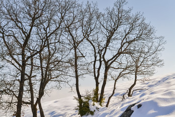 Fototapeta na wymiar Idyllic winter landscape