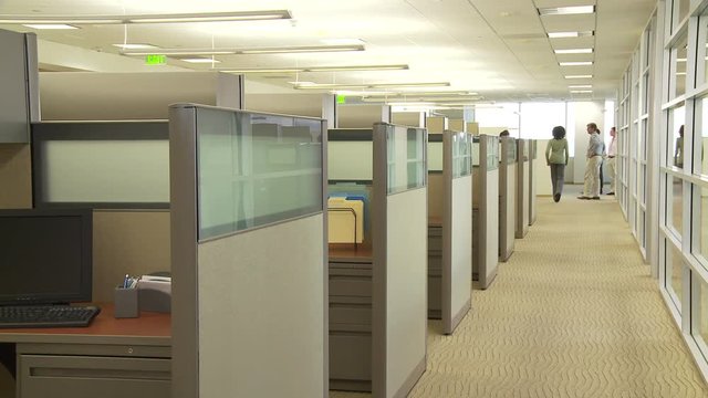Young business colleagues walking in office setting