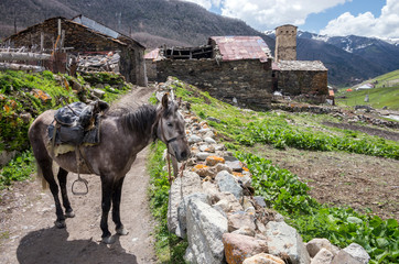 Saddled horse against a background of medieval stone towers in the mountains.