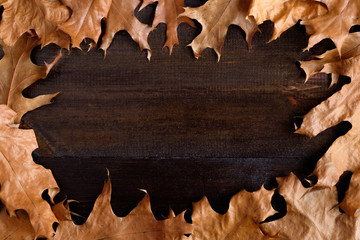 autumn leaves on wooden background flat view copy space