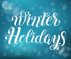 Naklejka na ściany i meble Winter Holidays vector lettering illustration