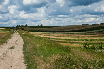 Fototapeta na wymiar Landscape with various fields and a blue sky.