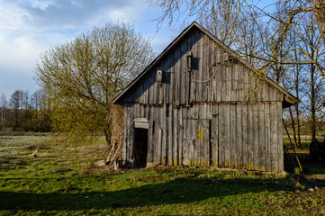 Fototapeta premium country house in the garden