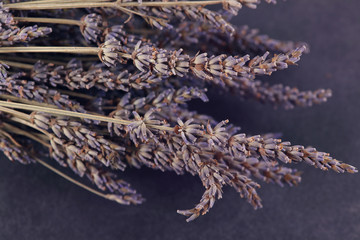 Dry lavender flowers on black background