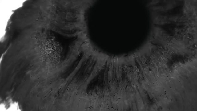 Black watercolor ink drops on white textured paper and slowly spread out in different directions. Use in compositing. Macro. Closeup. Slow motion, high speed camera, 240fps, 250fps
