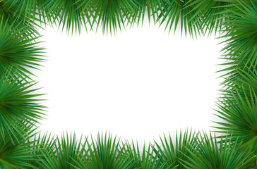 Fototapeta na wymiar Colorful naturalistic frame from the leaf palm. Vector Illustrat