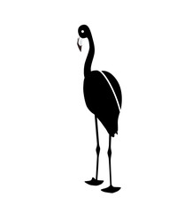 Black and White pink flamingo isolated on white background. Vect