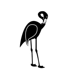 Black and White pink flamingo isolated on white background. Vect