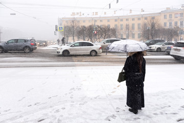Winter in Saint-Petersburg. Snow Russia