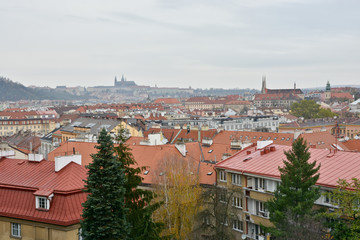 Fototapeta premium Prague roofs in the Vysehrad area.