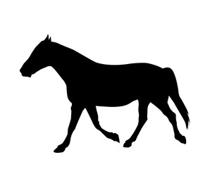 Sticker to car silhouette horse. Vector Illustration.