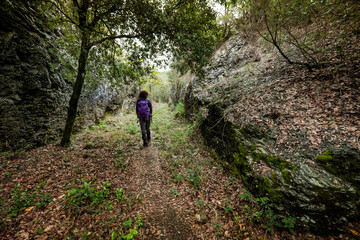Fototapeta premium Montecatini Val di Cecina, Pisa, Italy - November 7, 2017: It is an itinerary in the Monterufoli Nature Reserve, monumental great work are the stone bridges