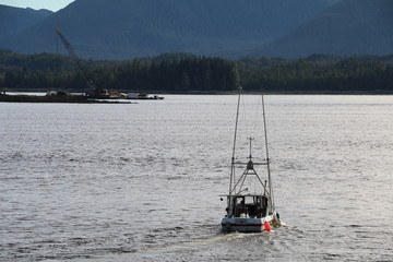 Obraz premium mi nuevo destino