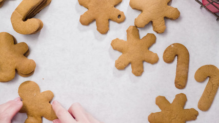 Gingerbread cookies