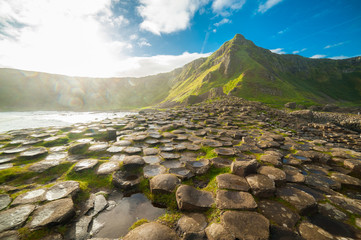 The Giant's Causeway at dawn on a sunny day with the famous basalt columns, the result of an ancient volcanic eruption. County Antrim on the north coast of Northern Ireland, UK - obrazy, fototapety, plakaty