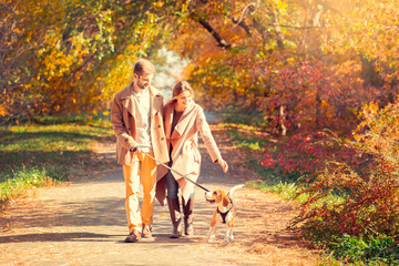 Young couple walk in the autumn park