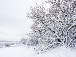 Landschaft im Winter