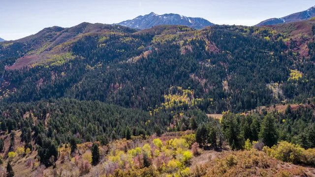 Aerial view of forest in Fall moving past tree tops viewing the layers of the landscape, 1 of 2. 