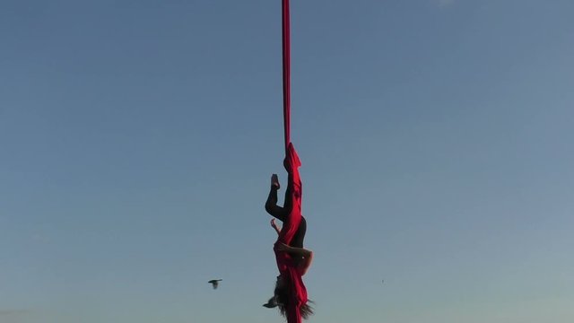 Acrobat falls during the trick, she performs the show.
