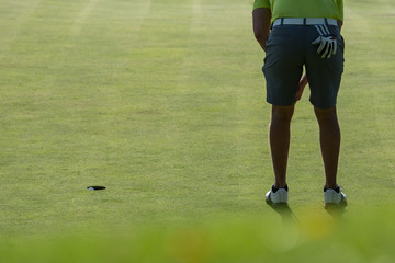 Golfer putting golf ball on the green golf