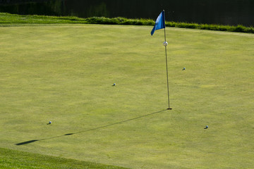 Obraz premium golf ball on the green golf