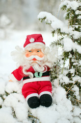 toy Santa Claus sitting on snow covered branches of the juniper