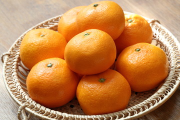 みかん　Mikan(Citrus unshiu)