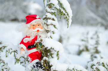 toy Santa Claus sitting on snow covered branches of the juniper