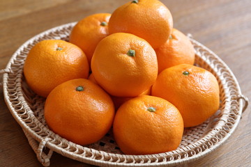 みかん　Mikan(Citrus unshiu)