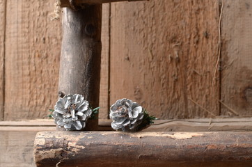 two pine cones on vintage background