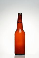 chilled bottle of beer