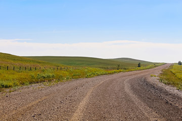 A gravel road through Alberta farmland and hills