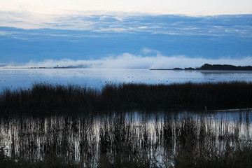 Morning mist rising off of an Alberta lake