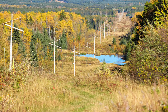 A power cutline running through an autumn forest