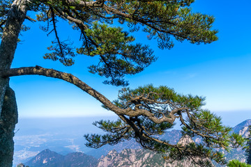Beautiful scenery in Mount Huangshan, China © zhouyilu