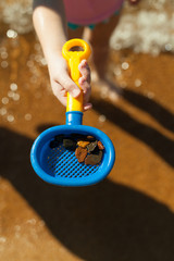 Rocks in a beach toy
