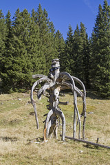 Skurriles Kunstwerk der Natur