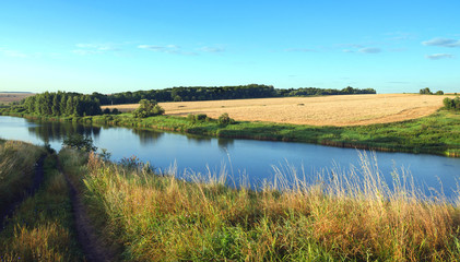 Sunny summer landscape with river and field of ripe wheat.River Krasivaya in Tula region,Russia.Countryside scene.