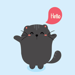 cute cat. hello