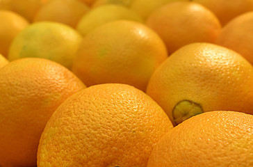 Close-up oranges