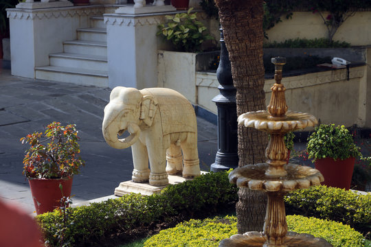 Elefantenfriedhof Bilder Durchsuchen 394 Archivfotos,