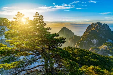 Papier Peint photo autocollant Monts Huang Beautiful mountains and rivers in Mount Huangshan, China