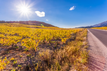 route des Côtes-Catalanes, Roussillon, France 