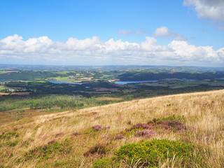 Fototapeta premium On the top!