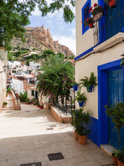 view of the castle perched on the mountain and the old Spanish quarter