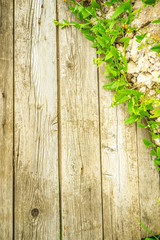 wooden background with grass and flowers in the corner	