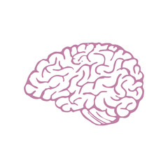 Hand Drawn Brain Isolated on White Background. Vector